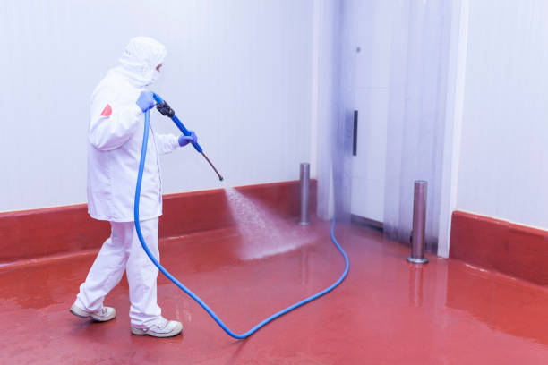 Best Factory Floor Cleaning  in Colfax, LA
